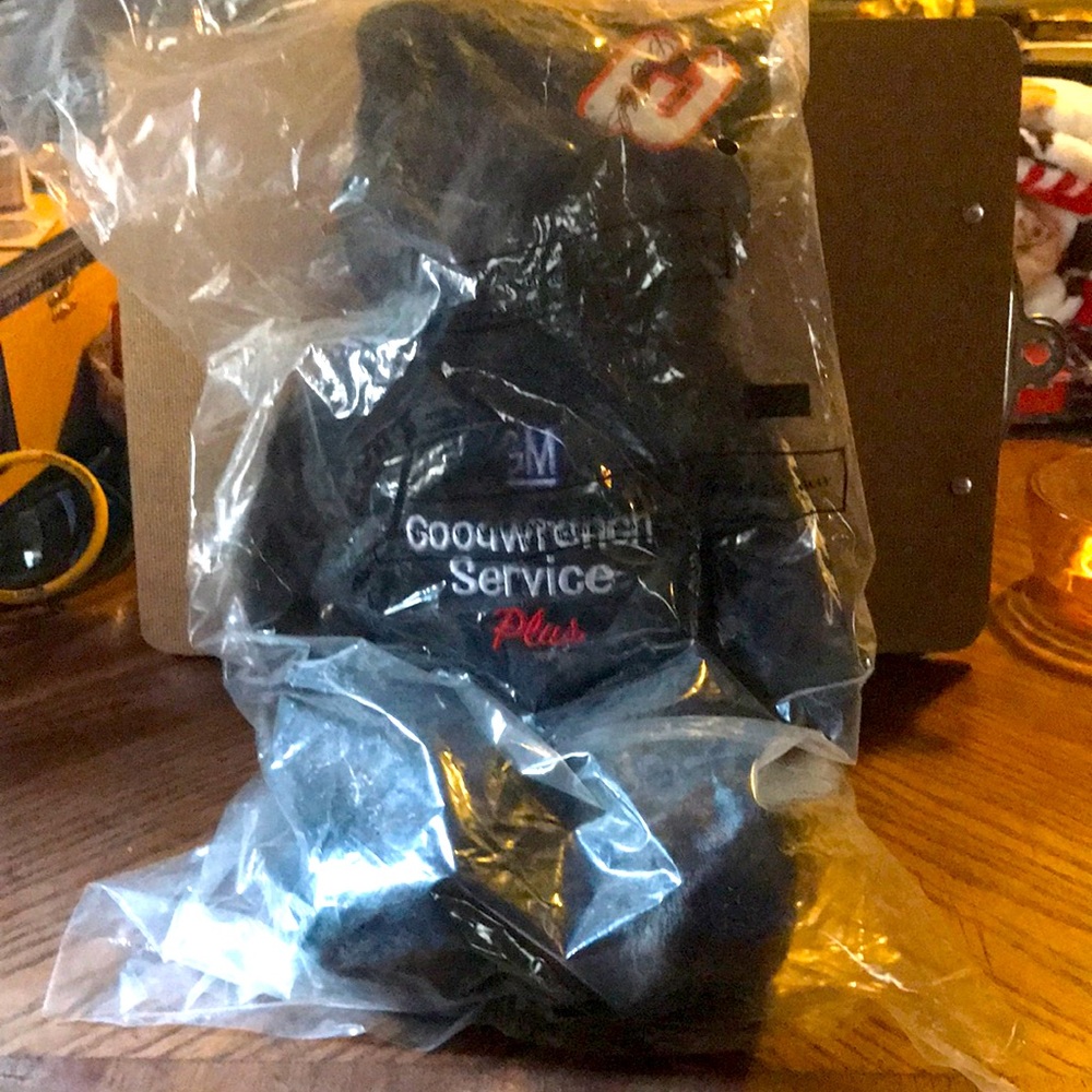 Dale Earnhardt GM teddy bear